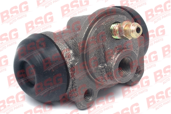 BSG 30-220-013