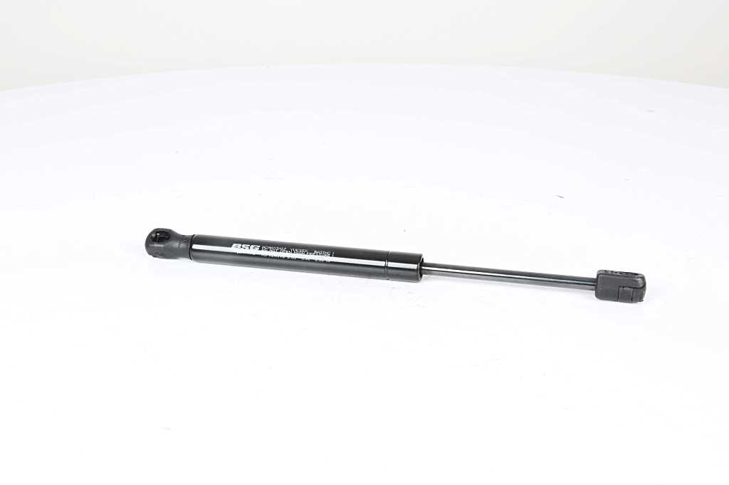 BSG 15-980-018