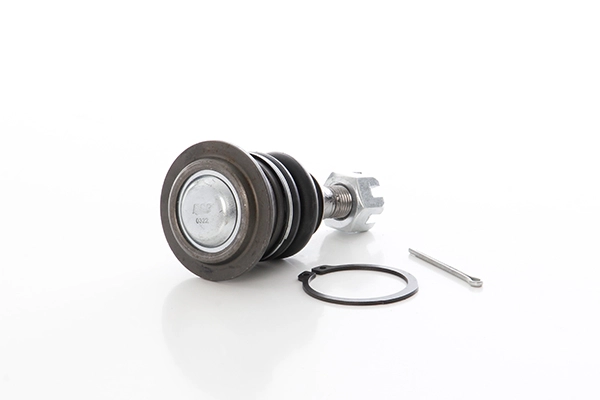 BSG 85-310-008