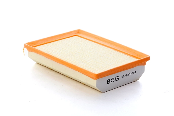 BSG 25-135-018