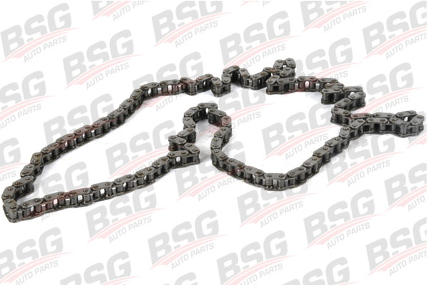 BSG 30-105-003