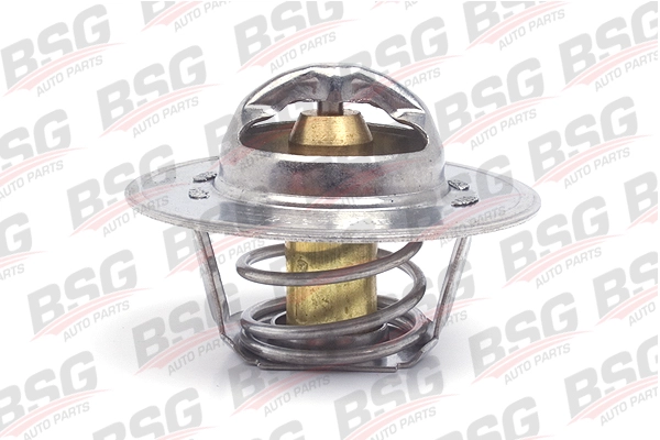 BSG 30-125-016