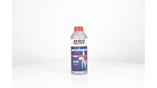 BSG 99-994-001