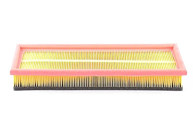 BSG 65-135-013