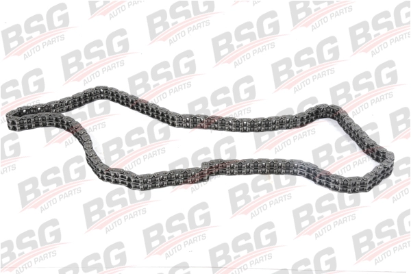 BSG 30-105-001