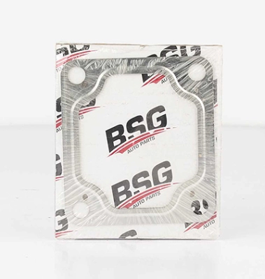 BSG 30-116-025