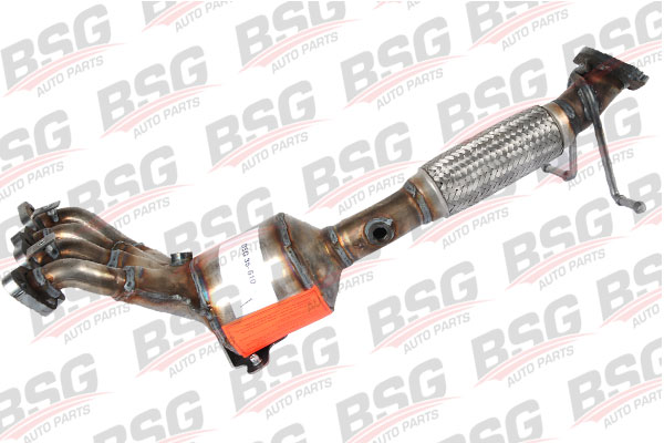 BSG 30-165-003