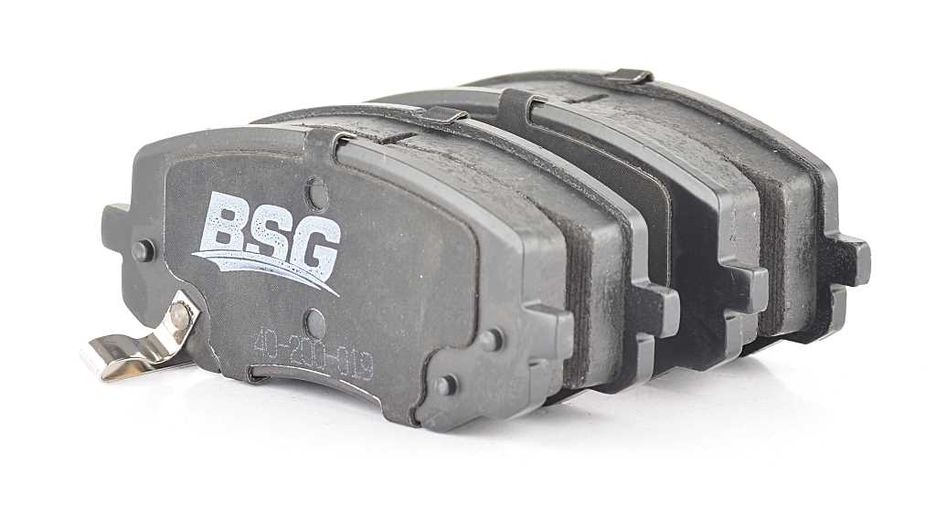 BSG 40-200-019