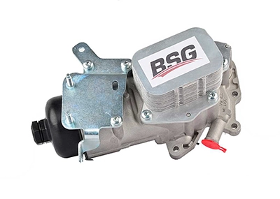 BSG 30-116-106