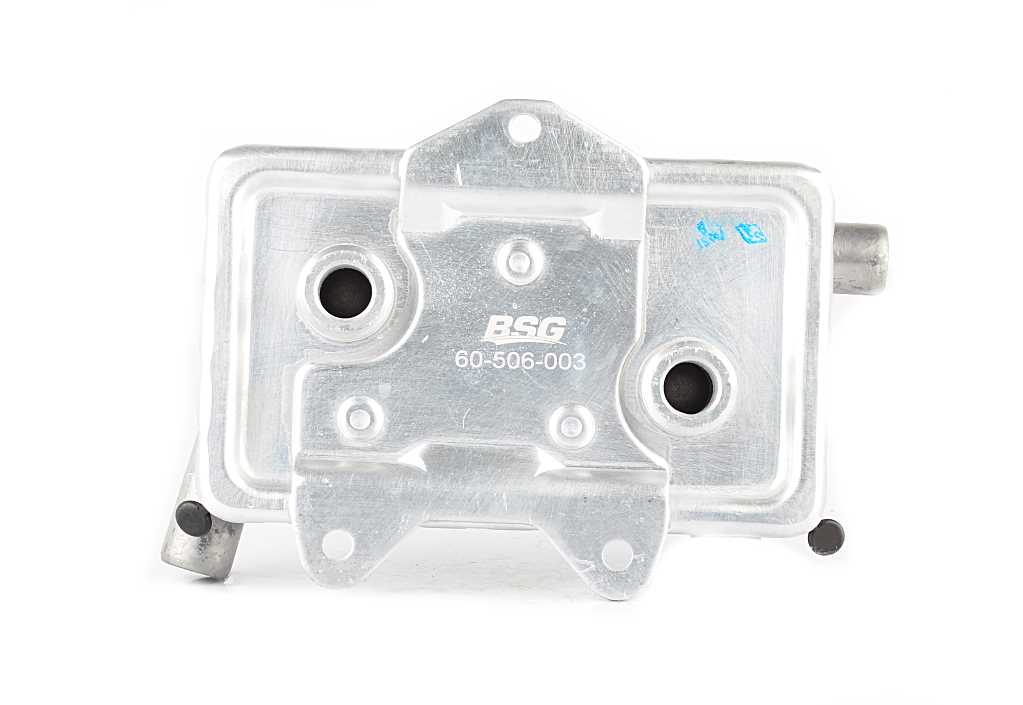 BSG 60-506-003