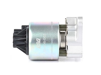 BSG 65-836-003