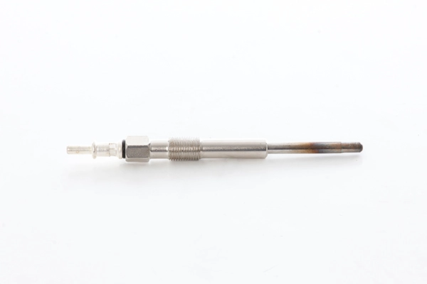 BSG 81-870-001