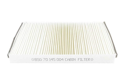 BSG 70-145-004