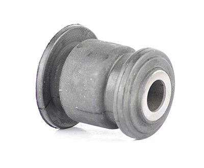 BK21-3069-AASK