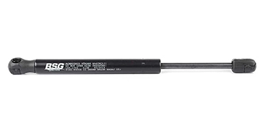 BSG 30-980-005