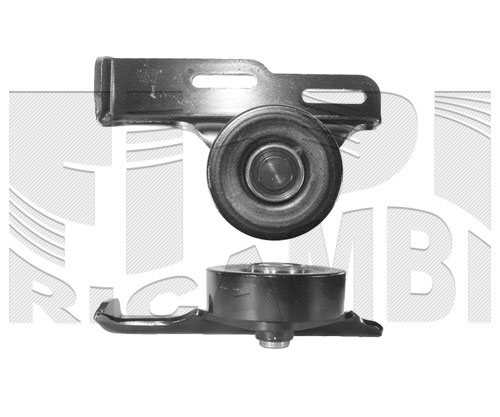 FI3900