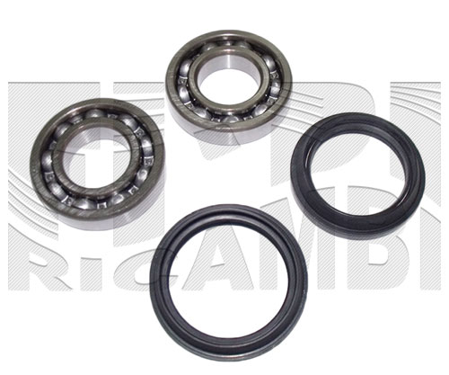 RK2203
