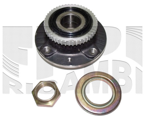 RC3011