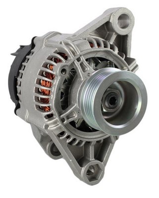 AMM125
