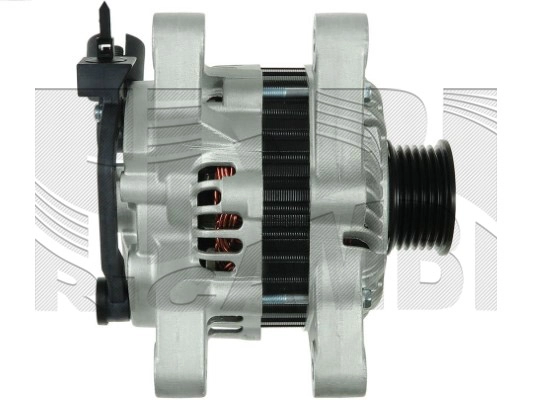 AMI219A
