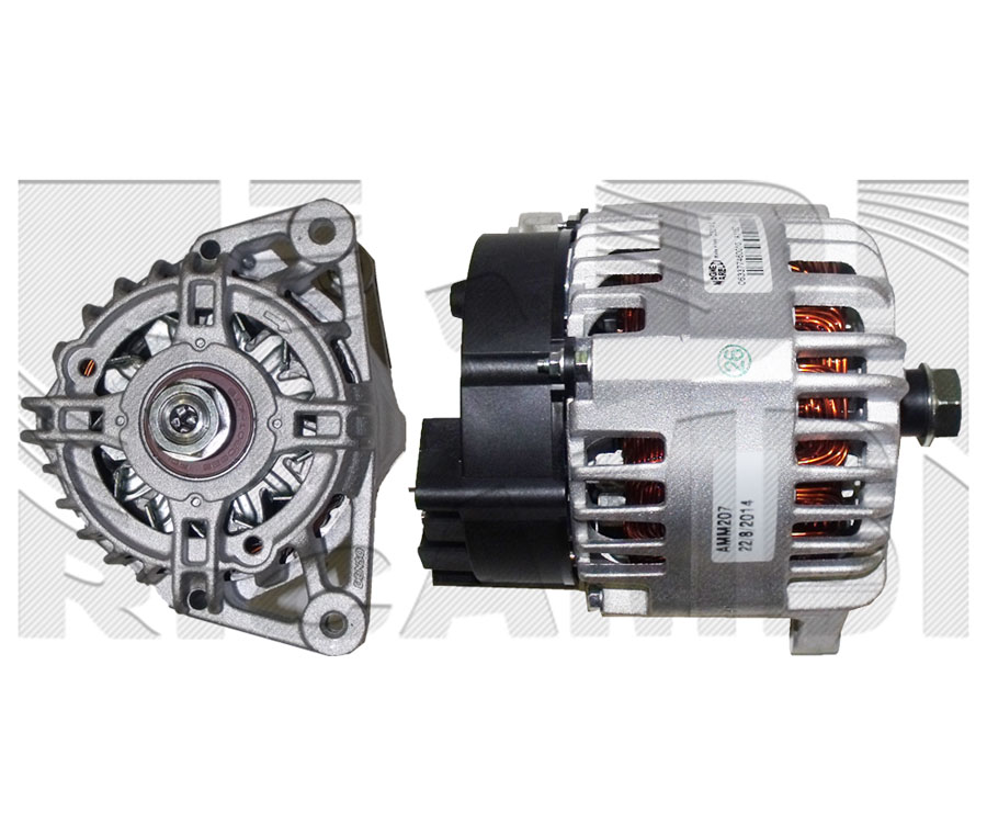 AMM207