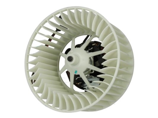 DDX004TT