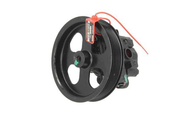 55.6176