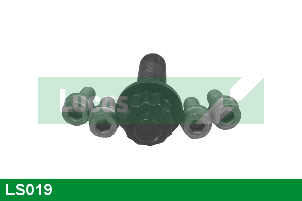 LS019