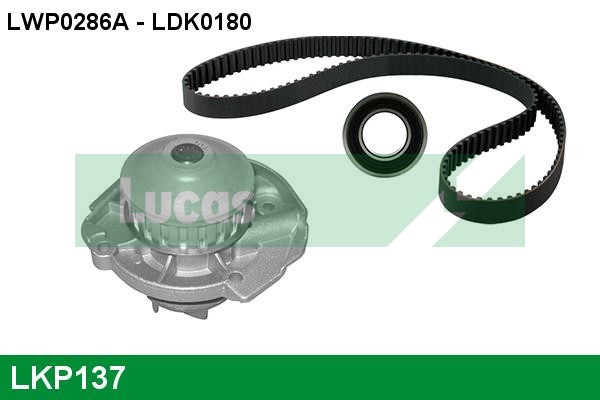 LKP137