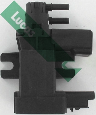 FDR243