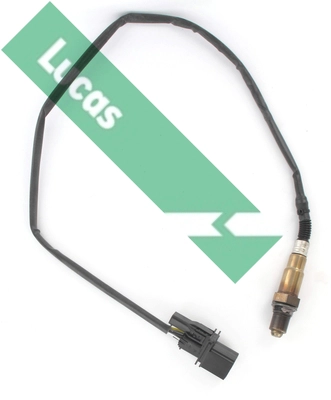 LEB5355