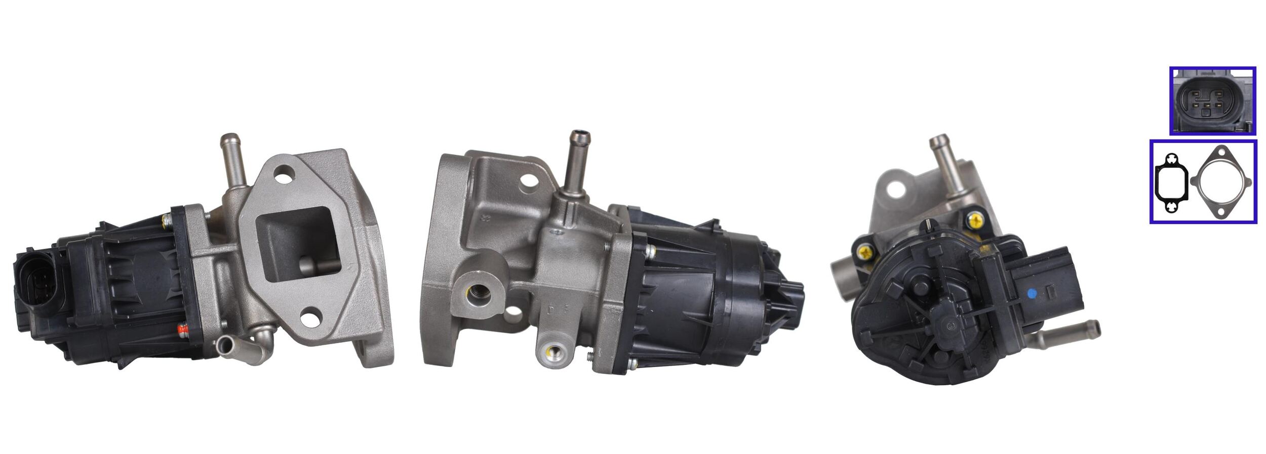 LEV2598