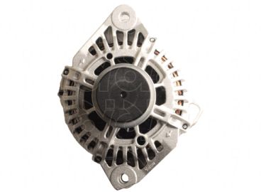 CGB-10453
