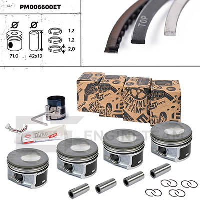 PM006600ET