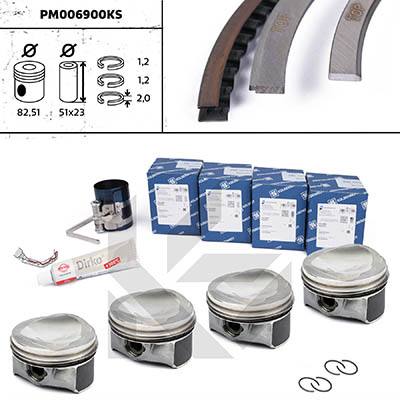 PM006900KS
