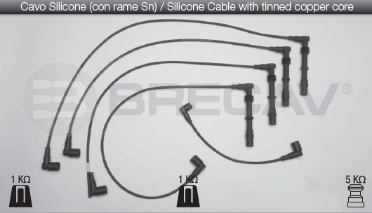 53905433