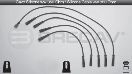 06.590
