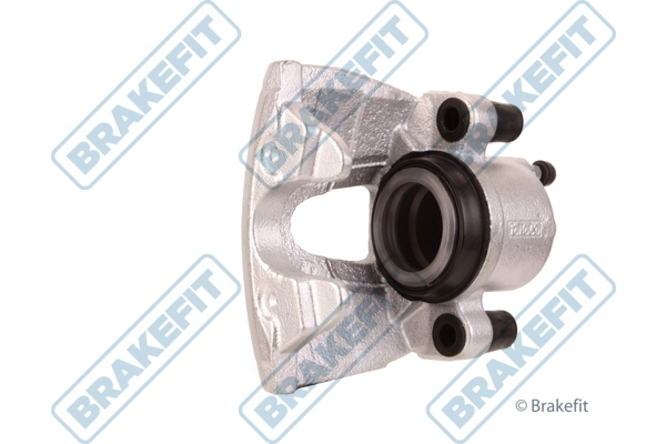BCA1011