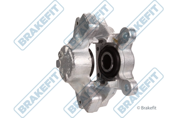 BCA1319