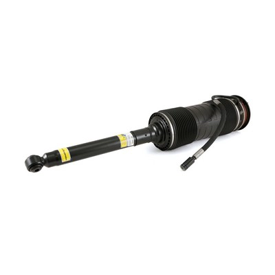 SK-2555
