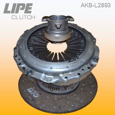 AKB-L2893