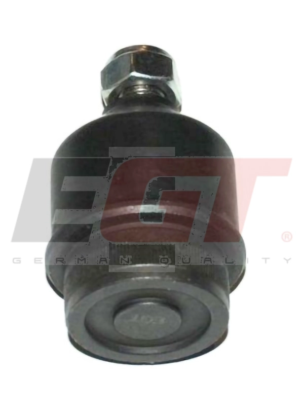 101030EGT