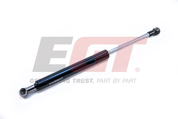 510099EGT
