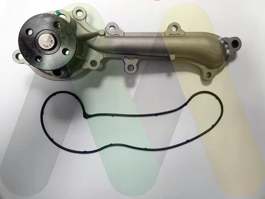 LVWP969