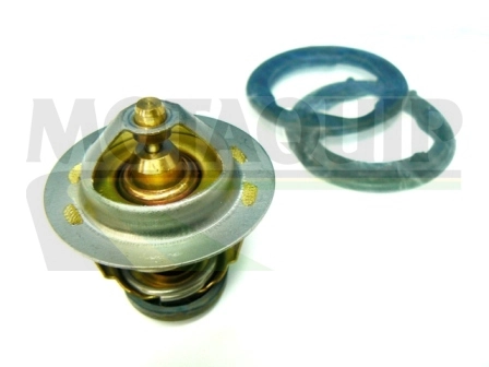 VTK29