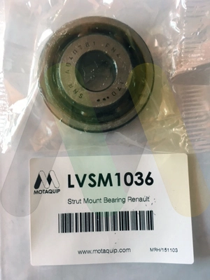 LVSM1036
