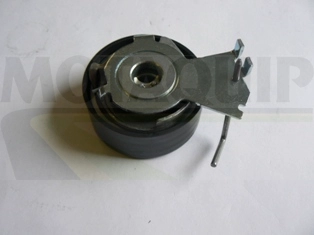 LVTT295