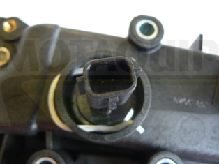 VTK146