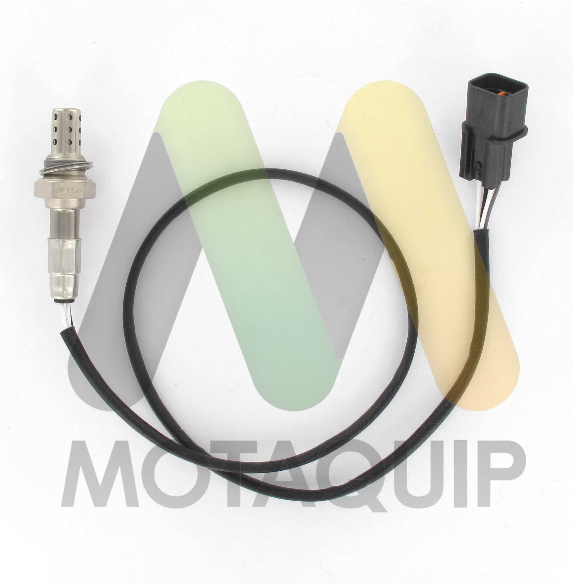 LVOS2004