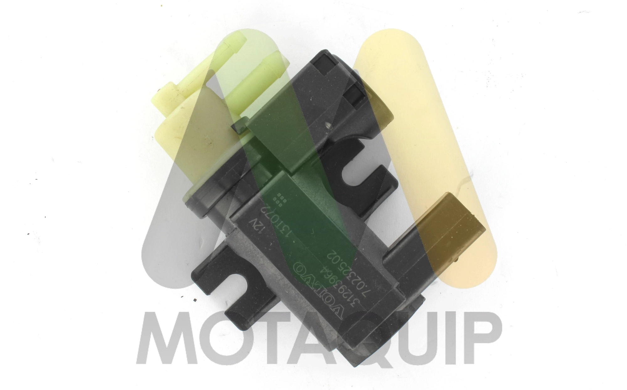 LVEV179